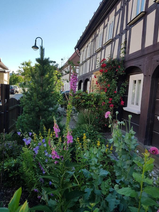 Ferienwohnung Fewo Niedere Muehlwiese Großschönau Exterior foto